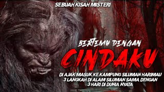 DI AJAK MASUK KE KAMPUNG CINDAKU SILUMAN HARIMAU HAMPIR DI ANGGAP WARGA MATI JADI HANTU