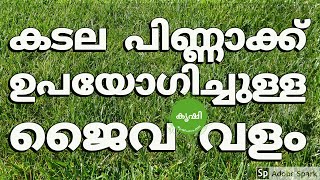 കടല പിണ്ണാക്ക് (കപ്പലണ്ടി) ഉപയോഗിച്ചുള്ള ജൈവ വളം - kadala pinnakku valam കടല പിണ്ണാക്ക് (കപ്പലണ്ടി) ഉപയോഗിച്ചുള്ള ജൈവ വളം - kadala pinnakku valam