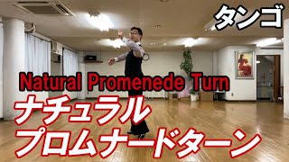 タンゴ：ナチュラルプロムナードターン　社交ダンスと競技ダンス【前掛けTV】Tango Natural Promenede Turn