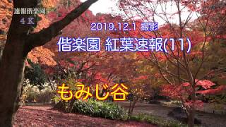 2019.12.1撮影, 偕楽園紅葉速報(11)もみじ谷 4K