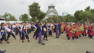 丼舞Re:タイム④ ♪ うらじゃ音頭 @ こいや祭り (大阪城天守閣前会場) 2018-09-09T13:48