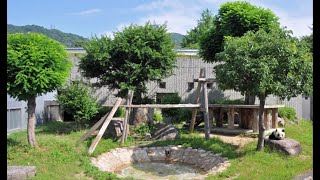 神戸市立王子動物園「タンタンを語る会」でのPR動画