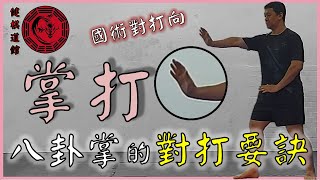 這不是巴掌! 八卦掌的「掌打」訣竅 The basics of palm-hit of BaGuaZhang│【傳武概念講堂】形意拳八卦掌│健棋道館