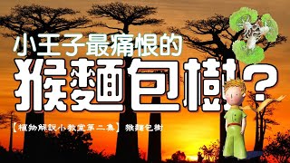 【植科大大】植物解說小教室第二集：猴麵包樹 baobab tree [20190716]