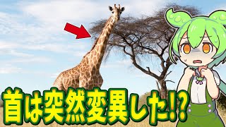 キリンの進化途中の化石が見つからない理由【ずんだもん解説】