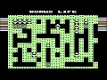 c64 longplay mjr boulder dash 2 caves 16 to 20