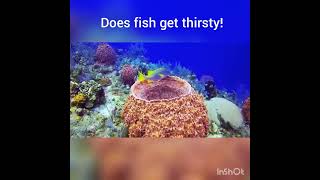 what happens when a fish get thirsty? /  மீன்கள் தண்ணீர் தாகம் எடுத்தல் என்ன செய்யும்? #fishthirsty