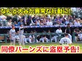 なんと大谷が塁上で珍事！同僚バーンズに盗塁予告を宣言！現地映像