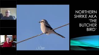 Alberta Birds with Brian and Joe