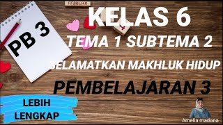 Kelas 6 Tema 1 Subtema 2 Pembelajaran 3