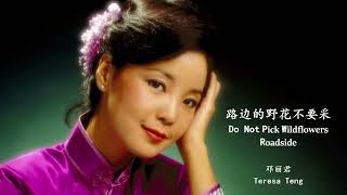 Teresa Teng - Lu Bian De Yehua Bu Yao Cai (English Lyrics+Pinyin)  邓丽君 - 路边的野花不要采【中英文歌词】