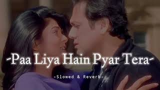 Paa Liya  Hain Pyar Tera - Slowed & Reverb - Alka Yagnik / Udit Narayan