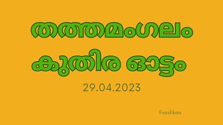 തത്തമംഗലം കുതിര ഓട്ടം thathamangalam kuthira ootam