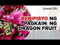 Alam Niyo Ba? Episode 105 | Benefits of Eating Dragon Fruits