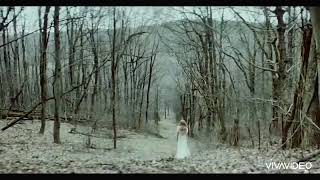 Taylor Swift - evermore ft Bon Iver (Official Music Video)