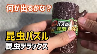 【在庫残少】昆虫パズル4Dデラックス【開封レビュー】