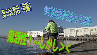 釣り動画ロマンを求めて 509釣目（M港・前編）