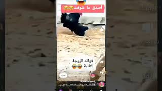 هههههههه من فوائد الزوجه الثانية