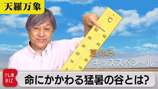 夏休みキッズスペシャル（２）　命にかかわる猛暑の谷とは?【久保田解説委員の天羅万象】（39）（2021年8月13日）