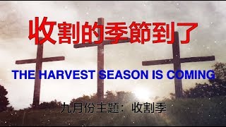 收割的季節到了 （九月份主題：收割手節）蔡恩惠牧師 2019-09-01