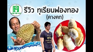 รีวิวทุเรียนพันธุ์ใหม่...กับลูกทุเรียนพันธุ์ฟองทอง(คางคก) | ลุงหมูป้าตุ้ยพันธุ์ไม้