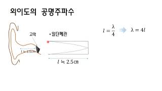 귀의 구조와 기능- ear structure & function