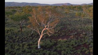 Karijini Western Australia 2024