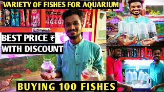 BUYING 100 FISHES|FLOWERHORN,BETTA FISHES etc. |TAMIL |KARAN DUPLESSIS.