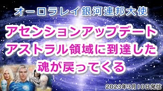 アセンション アップデート！アストラル領域に到達した魂が戻ってくる(2023.3.10)～オーロラレイ銀河連邦大使～