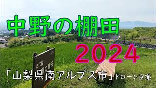 中野の棚田2024（ドローン空撮）