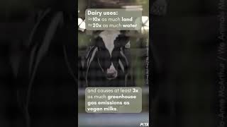 Want To Save The Planet? Ditch Dairy. #shortsfeed