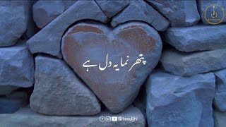 Heart Touching Nazam Status 2023 |Pathar numa Yeh Dil hai | WhatsApp Status | Islamic Naat Status