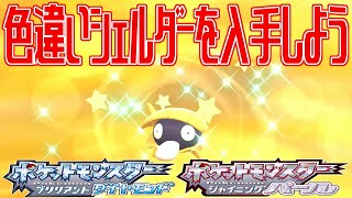 【ポケモンダイパリメイク】色違いシェルダーを入手しよう タマゴふか2650匹目(タマゴ孵化)【ポケットモンスター ブリリアントダイヤモンド・シャイニングパール】Pocket Monsters