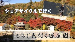 【紅葉】堀庭園までシェアサイクルで行ってきました【今見頃です】