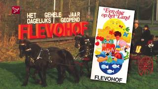 25 Weetjes Dronten - De Flevohof werd pretpark