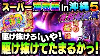 【夜桜満開】咲くか散るか！命短し玉でろ桜！スーパー海物語in沖縄5〜夜桜超旋風〜#夕方戦士