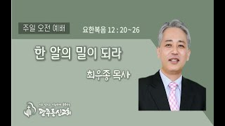 [01.16] 한 알의 밀이 되라 (요한복음 12:20~26)