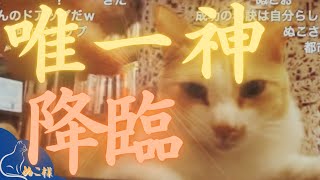 【カワイイ猫で癒し枠】ぬこ様がニコ生に降臨なされました！【メンタリストDaiGo切り抜き】