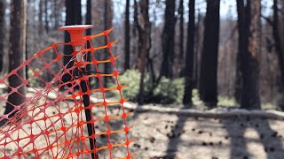 Butte County Wildfire Recovery: Park Fire and Thompson Fire