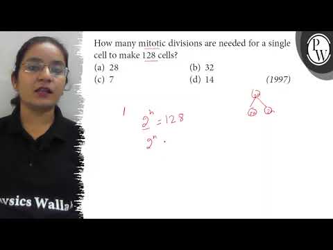 How many times a cell will have to divide mitotically to form 128 cells?