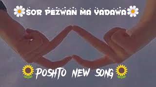 Pashto new song | Pashto new songs 2024 | Pashto new songs 2023 tappy | Pashto new songs 2023 remix