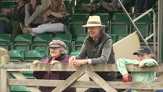 Balmoral Show Working Hunter Horse 2024