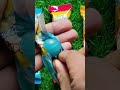 satisfying video asmr lollipops candy unboxing video asmr opening video