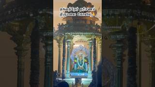 தங்கத்தேர் தரிசணம்🙏திருமலை கோவில், பண்பொழி#murugan#gold#charriot#tamil#shorts@SamayalneramfromSg