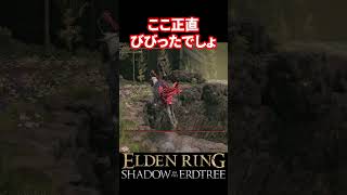 【エルデンリングDLC】完全に不意を突かれたよね【SHADOW OF THE ERDTREE：ELDEN RING】 #eldenring #shadowoftheerdtree