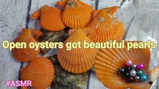 ASMR แกะหอยมุก2ชนิด12ตัว ไข่มุกสวยเช่นเคย open 12 oysters got beautiful pearls | pandapick🐼