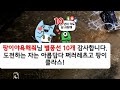 로드나인 ep. 8 3 월드쟁 d 3 지금 필요한 건 무기 팡이요 로드나인 모바일게임