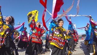 REDA舞神楽  第15回黒潮よさこい祭り