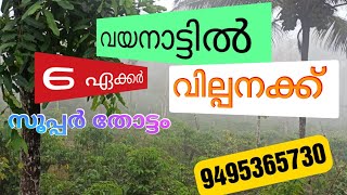 #WAYANAD# DEVARAJ AMBALAVAYAL ചീരാൽ അടിപൊളി 6 ഏക്കർ തോട്ടം വില്പനക്ക് 9495365730