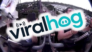 Rollercoaster Ride to Remember || ViralHog